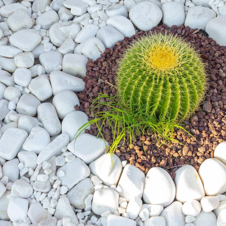 Thassos Carrara Marianna Impregnat Do Białych Otoczaków Grysu Pebbles White