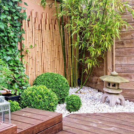 Thassos Carrara Marianna Imprägnat Weißer Stein 5L