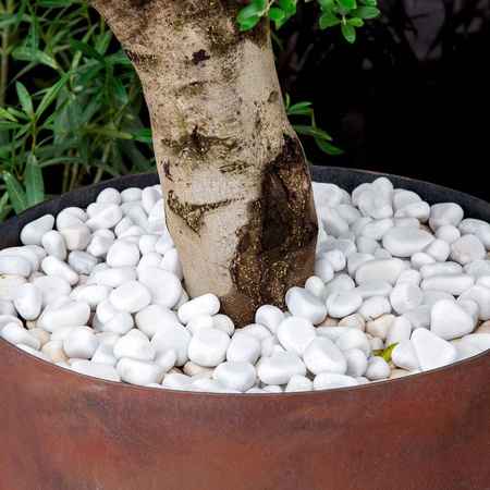 Thassos Carrara Marianna Surface Treatment 5L